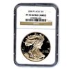 Image 1 : Certified Proof Silver Eagle PF70 NGC (date of our choi