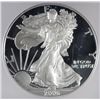 Image 2 : 2006-W PROOF SILVER EAGLE ICG PR-70 DCAM
