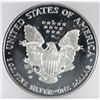 Image 3 : 2006-W PROOF SILVER EAGLE ICG PR-70 DCAM