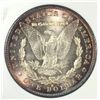 Image 2 : 1879-S MORGAN DOLLAR ANACS MS65 TONED