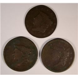 THIN LARGE CENT MINT ERROR & 2- CULL DATELESS LARGE CENTS