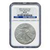 Image 1 : Burnished  Silver Eagle MS69 Early Release NGC (Date of