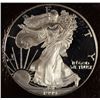 Image 2 : 1999 PROOF SILVER EAGLE ICG PR-70 DCAM