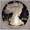 Image 2 : 1995 PROOF SILVER EAGLE ICG PR-70 DCAM