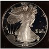 Image 2 : 1991-S PROOF SILVER EAGLE ICG PR-70 DCAM