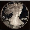 Image 2 : 1989-S PROOF SILVER EAGLE ICG PR-70 DCAM