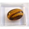 Gorgeous Tiger Eye Gemstone  5.50ct  Cabochon Cut  14 x 10mm