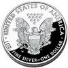 Image 2 : 2013 Silver Eagle 1oz  .999 silver  * Rare MS High Grade *