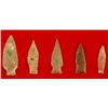 Image 2 : 5 Texas Early Archaic Arrowheads