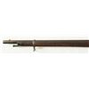 Image 9 : Springfield 1866 Trapdoor Cadet