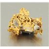 Image 1 : Gold Nugget