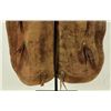 Image 4 : Arizona Saddlery Chaps