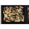 Image 2 : Collection of Arrow Heads in Chest