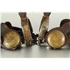 Image 2 : Pair of Large Transitional Spurs With Conchoes