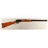 Image 1 : Marlin Model 1893  .25-20