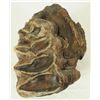 Image 2 : Mastodon Tooth Fossil