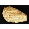 Image 1 : Prehistoric Mammoth Tooth Fossil