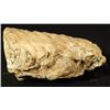 Image 3 : Prehistoric Mammoth Tooth Fossil