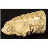 Image 4 : Prehistoric Mammoth Tooth Fossil