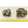Image 3 : Collection of  Mastodon Teeth Fossils