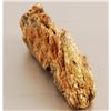 Image 3 : Collection of 4 Prehistoric Fossil Mammal Teeth