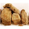 Image 3 : Collection Of 13 Mammoth Fossil Teeth