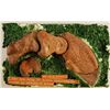 Image 1 : Sloth Megatherium Fossil Bones