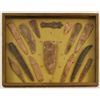 Image 1 : Shadow Box  Display of Large Blades & Points