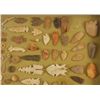 Image 3 : Collection of Contemporary Relics Shadow Box