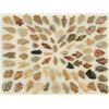Image 1 : Collection of 86 Texas Arrowheads