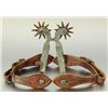 Image 2 : Pair Single Mount Spurs