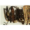 Image 3 : Collection of Assorted Old Saddle Items