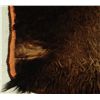 Image 2 : Buffalo Skin Rug
