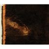 Image 3 : Buffalo Skin Rug