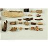 Image 10 : Large Collection Fossil Teeth