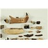 Image 11 : Large Collection Fossil Teeth
