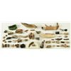 Image 1 : Large Collection Fossil Teeth