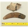 Image 2 : Large Collection Fossil Teeth