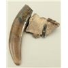 Image 3 : Large Collection Fossil Teeth