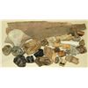 Image 1 : Collection of Mastadon Teeth & Fossil Bones