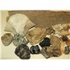 Image 2 : Collection of Mastadon Teeth & Fossil Bones