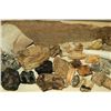 Image 3 : Collection of Mastadon Teeth & Fossil Bones