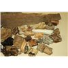 Image 4 : Collection of Mastadon Teeth & Fossil Bones
