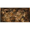 Image 1 : Trunk Full of Flint, Scrapers, & Blades