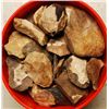 Image 1 : Large Group of Pre Forms & Broken Flint
