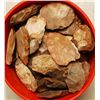 Image 1 : Large Group of Pre Forms & Brokens