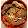 Image 1 : Large Group of Assorted Fossils & Stones