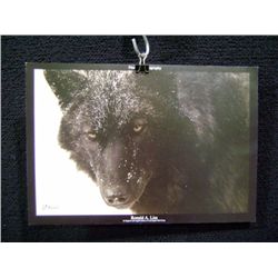 Ronald Liss Poster Entitled Oain IV-Photograph of a Wolf