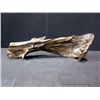 Image 3 : Dark Stained Drift Wood Accent Piece