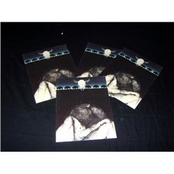 4 Prints of Skull, Buffalo, Old Woman 8"x11"